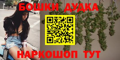 сатива Сланцы